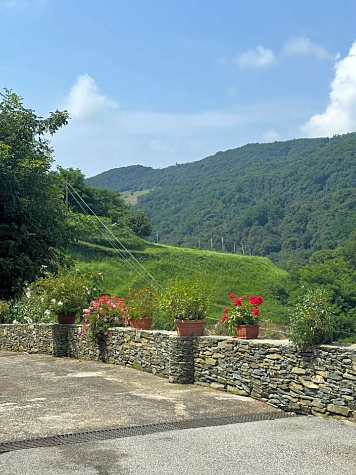 B&b Al Ciliegio Del Turchino