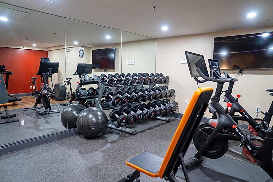 Inn of Naples, Tapestry Collection by Hilton