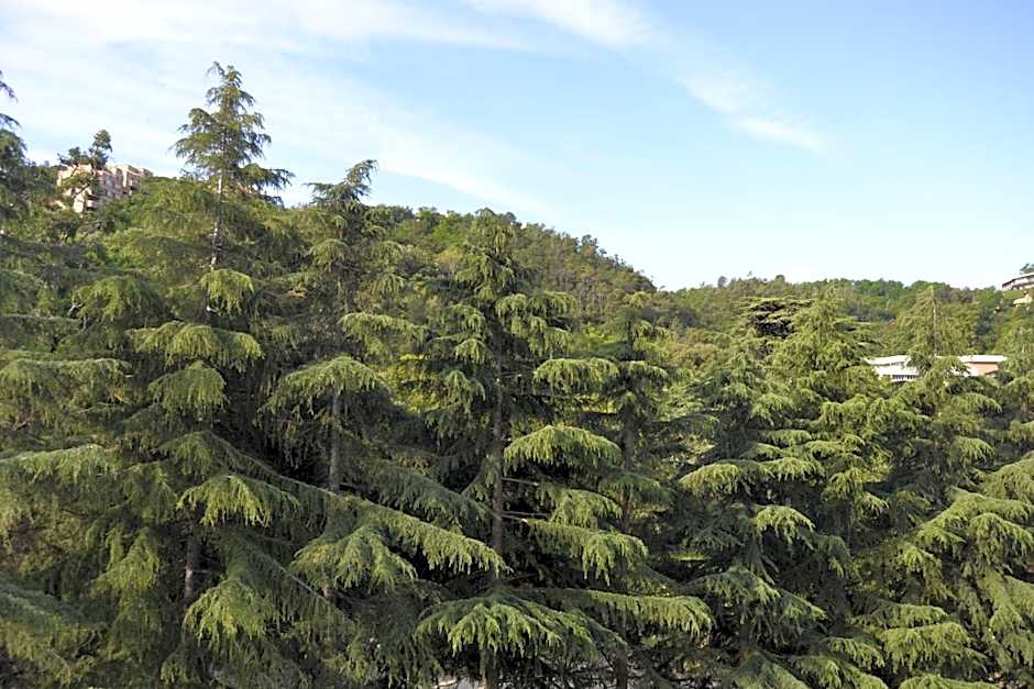 GLEM rooms & breakfast