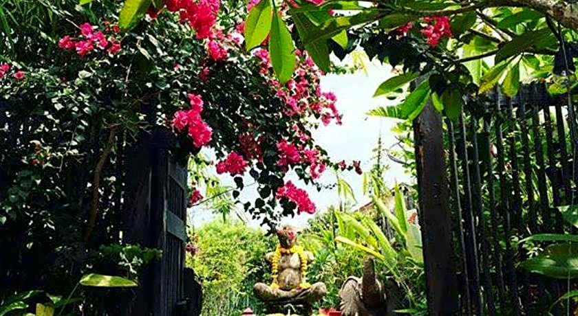 Artist's Place Trat