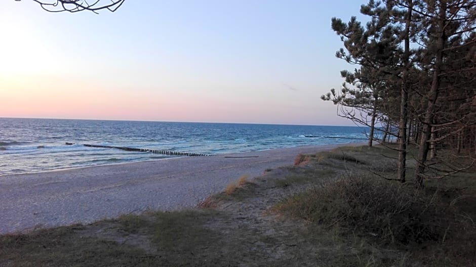 Domki Letniskowe Oaza Wicie