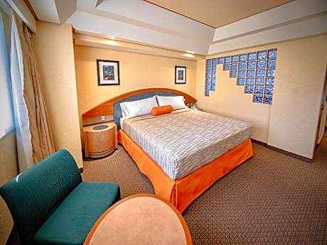 King Room with Spa Bath