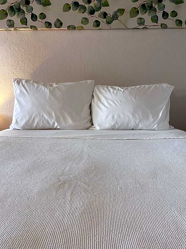 Beautiful Room Near Disney/Universal & I-Drive