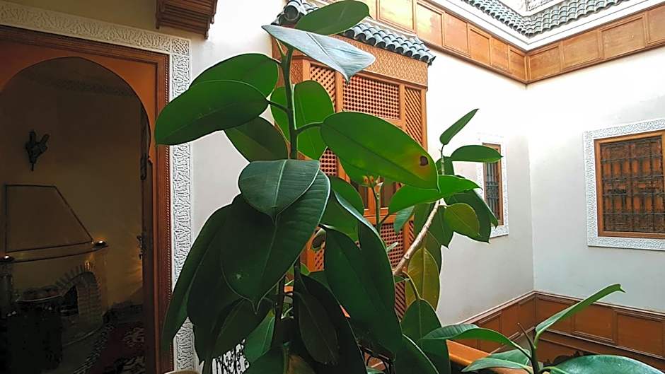 Riad Gallery 49 & Spa
