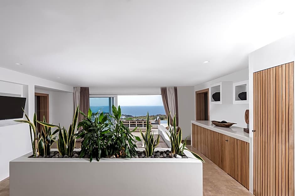 Andronis Arcadia Hotel