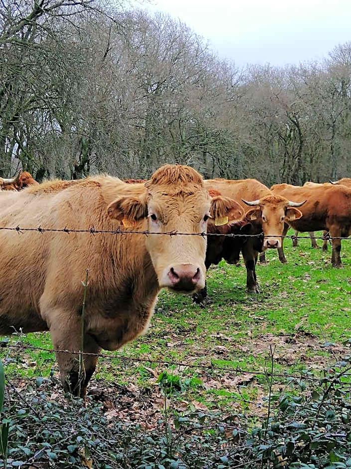 Lar da Mota Boutique Hotel