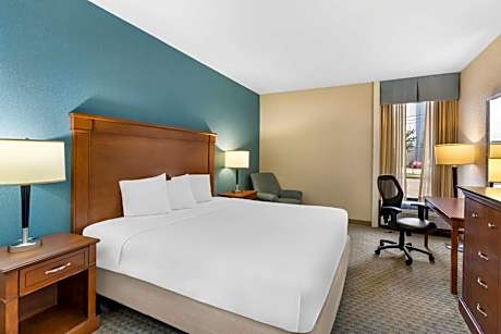 One-Queen Room