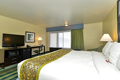 1 King Bed Non-Smoking