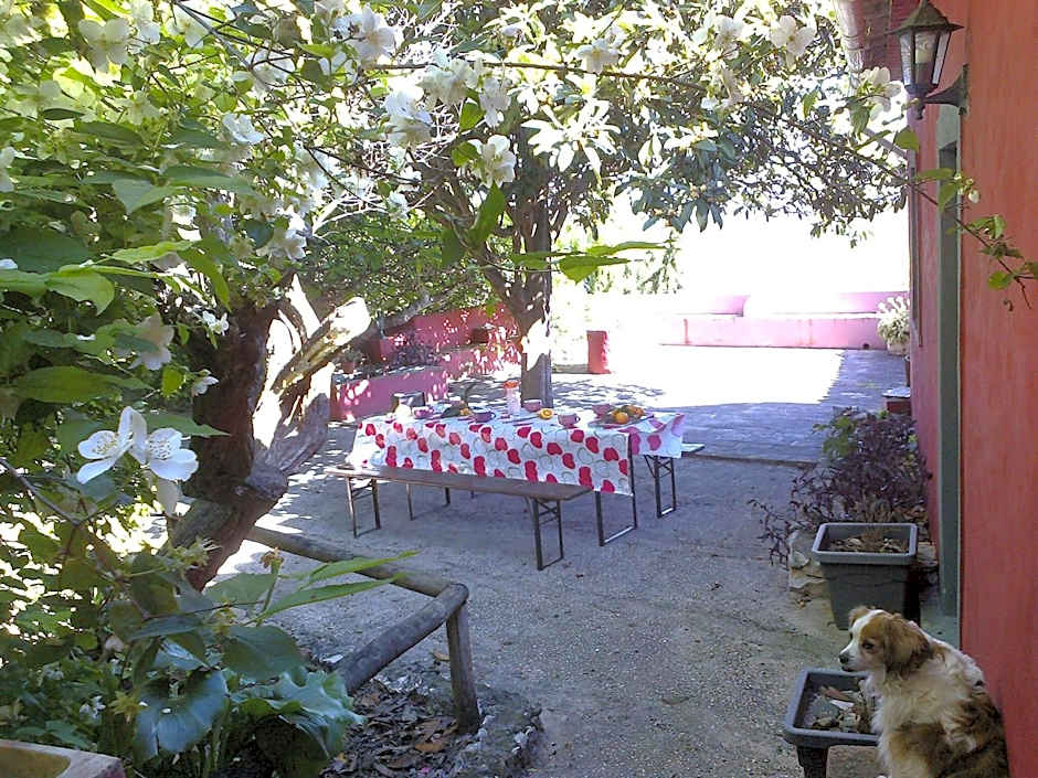 Casa Amoreira - Quinta Amoreira