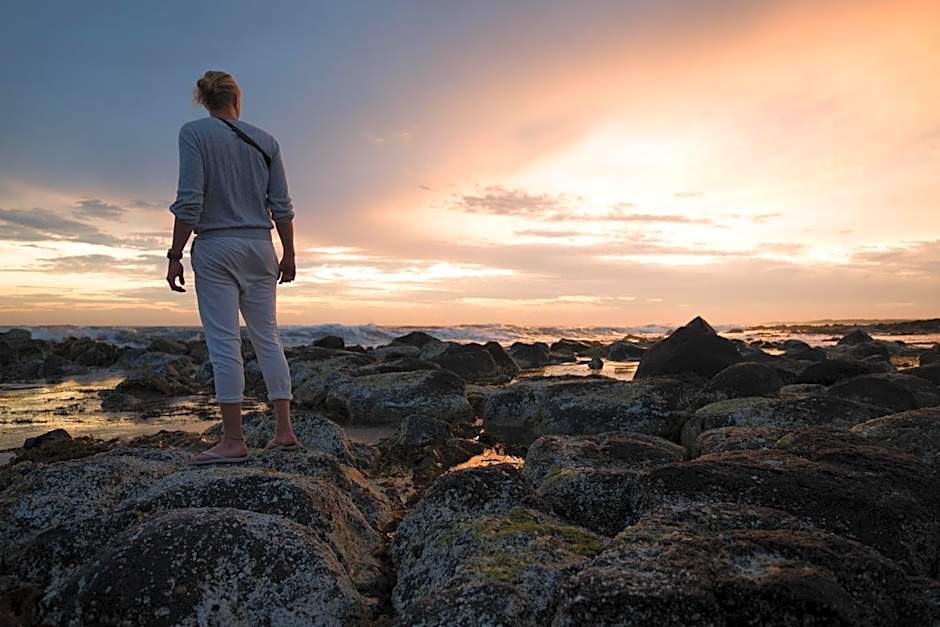 The Wandering Whale Port Fairy