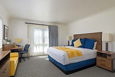 Deluxe Room with 1 King bed