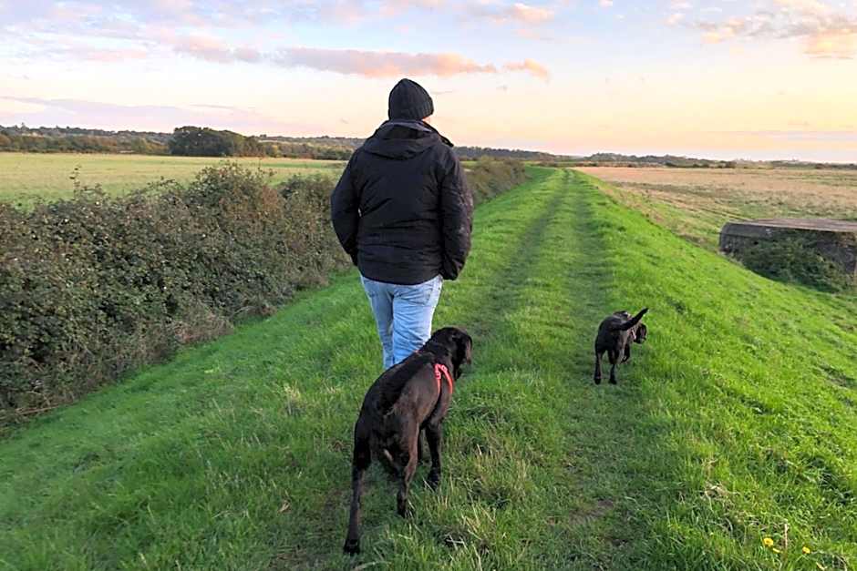 Norfolk Farm Stays by Beach Dog Friendly