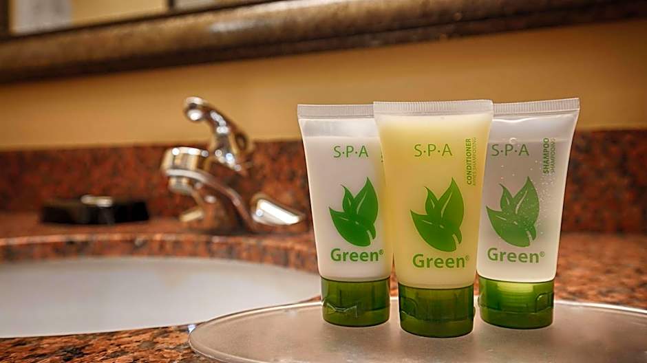 Best Western Plus Manvel Inn & Suites