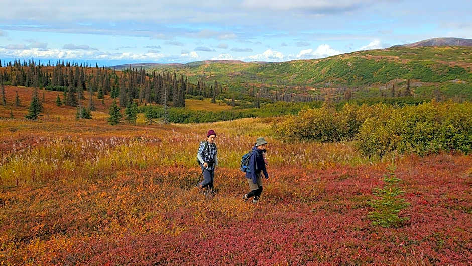 Caribou Lodge Alaska