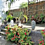 Ceiba Studios