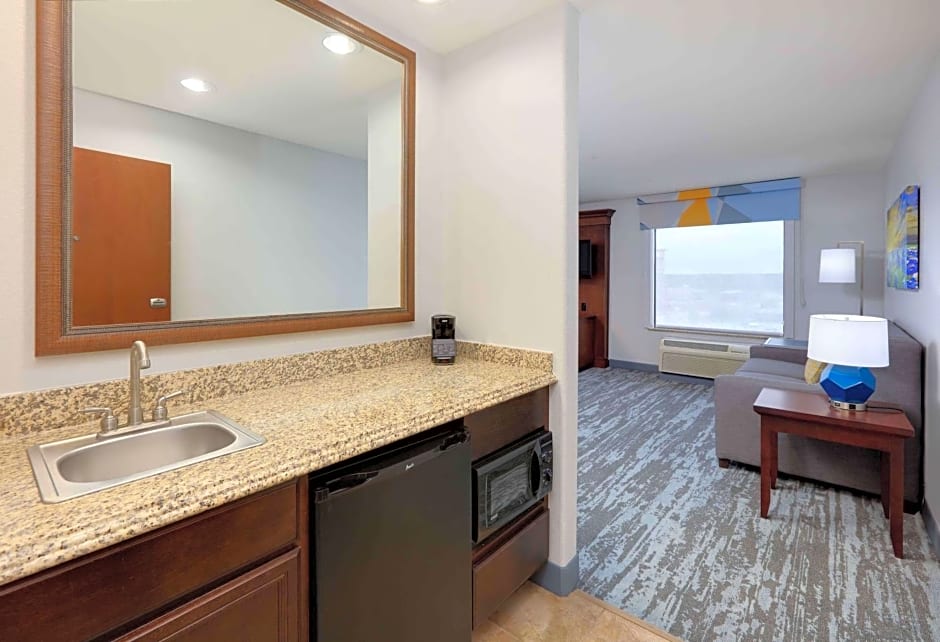 Hampton Inn By Hilton & Suites Dallas-Arlington-South