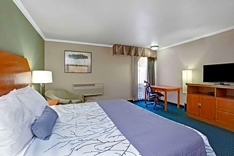 Accessible 1 Queen Bed Smoking Room