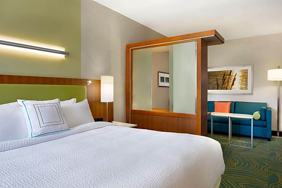 SpringHill Suites by Marriott Tuscaloosa