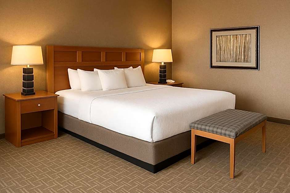 Photo 1 of 5 of Deluxe 1 King Bed
