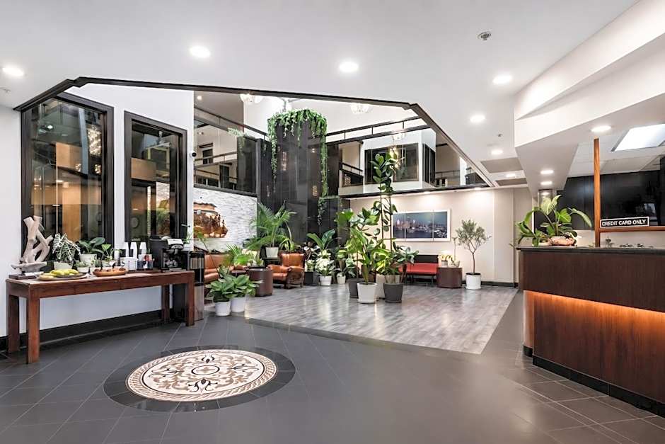 Hotel International