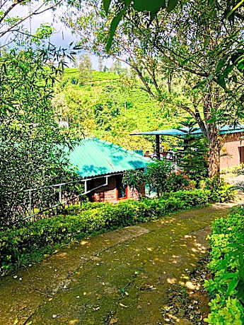 Wild Resort Ella