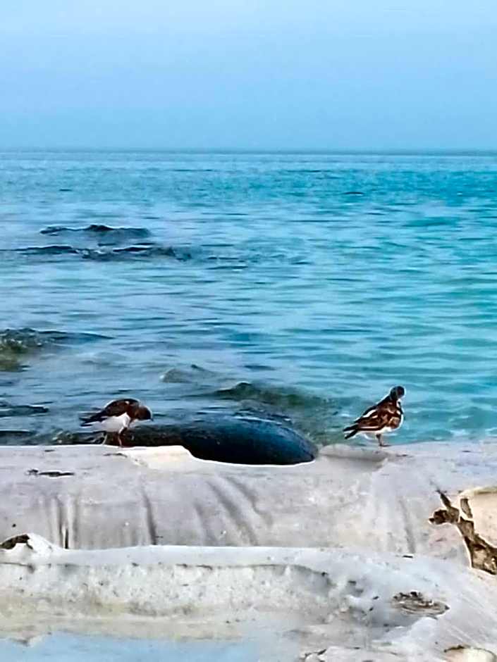 Casa aloha-Isla Holbox
