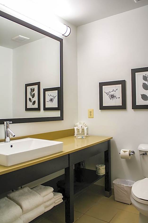 Country Inn & Suites by Radisson, Washington Dulles International Airport, VA