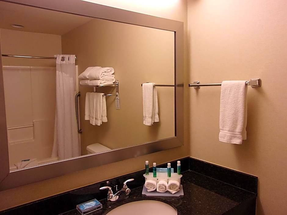 Holiday Inn Express & Suites Chicago West-Roselle By IHG