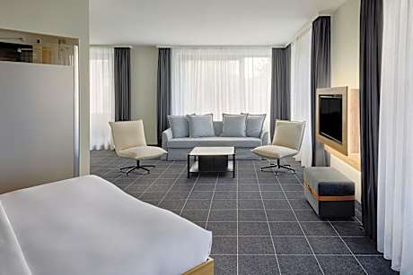 Large Queen Room with Sofa Bed