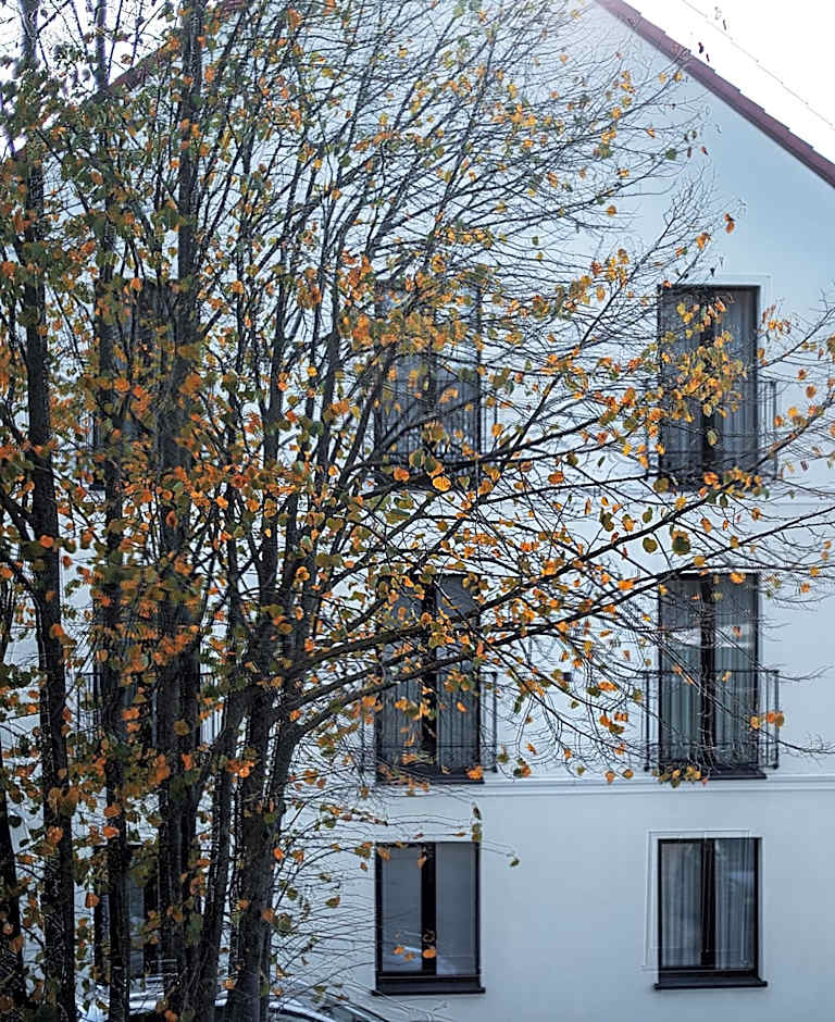 Jono kalnelis Apartments