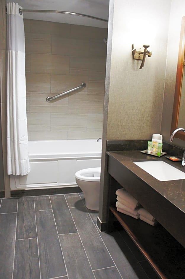 Wyndham Garden Baronne Plaza