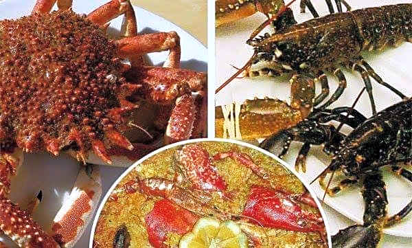 Hotel Restaurante el Fornon