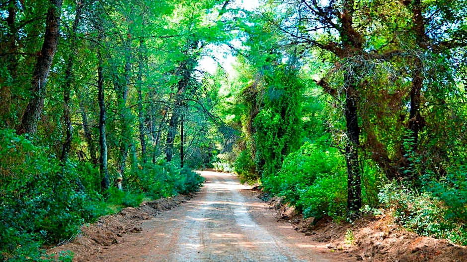 Akrogiali Exclusive Hotel (Adults Only)