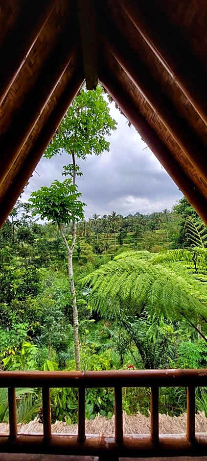 Second Home Bungalows – Tetebatu, ID