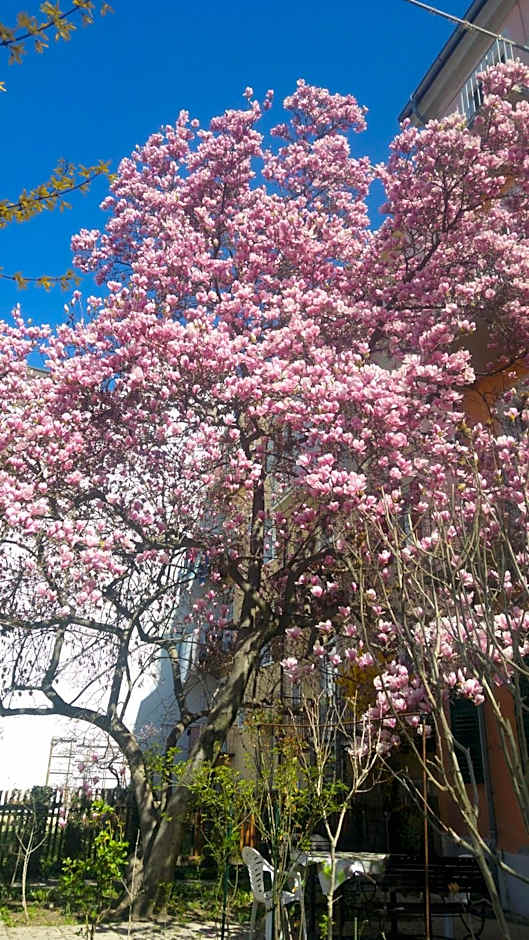 Haus Mobene - Hotel Garni