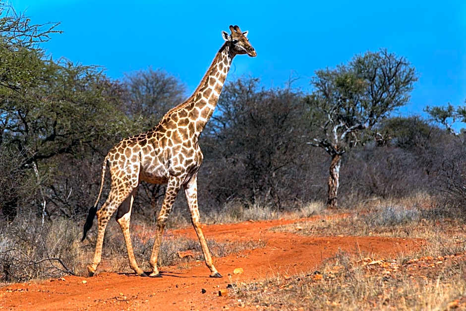 Palala Boutique Game Lodge and Spa