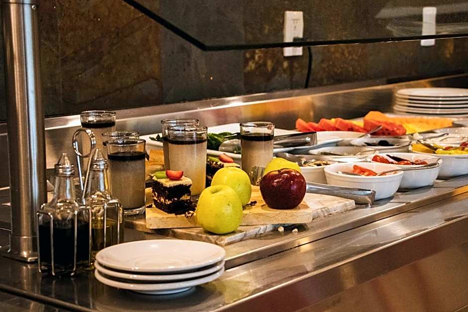 Hilton Garden Inn Leon Poliforum