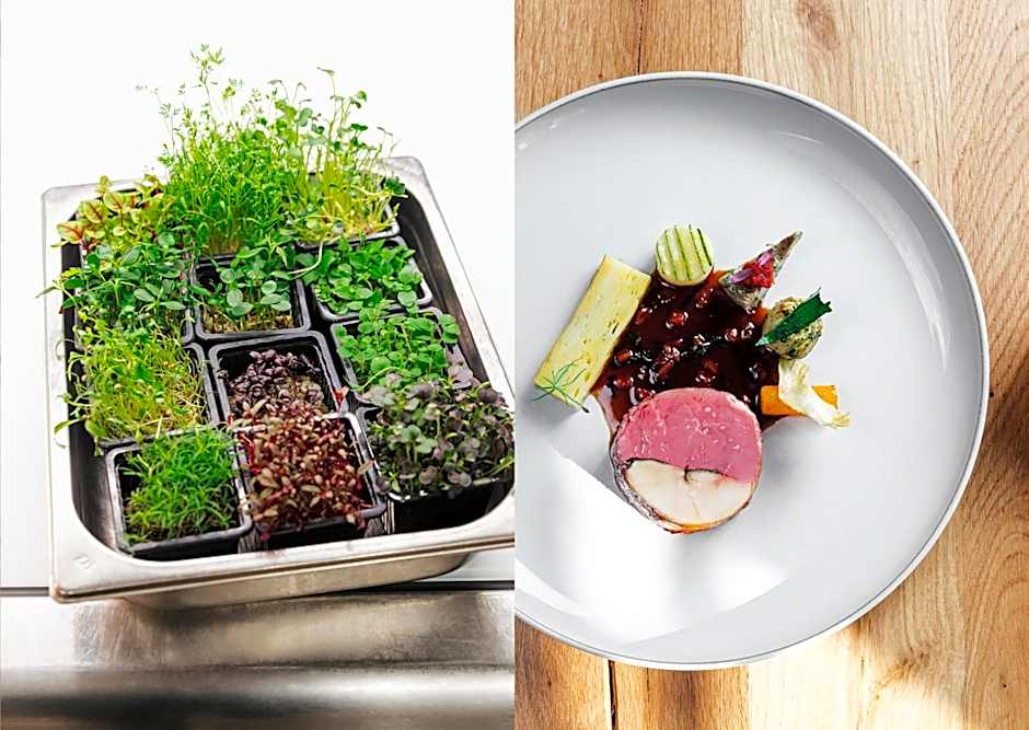 Maiensässhotel Guarda Val