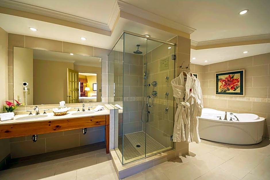 The Water Tower Inn - BW Premier Collection