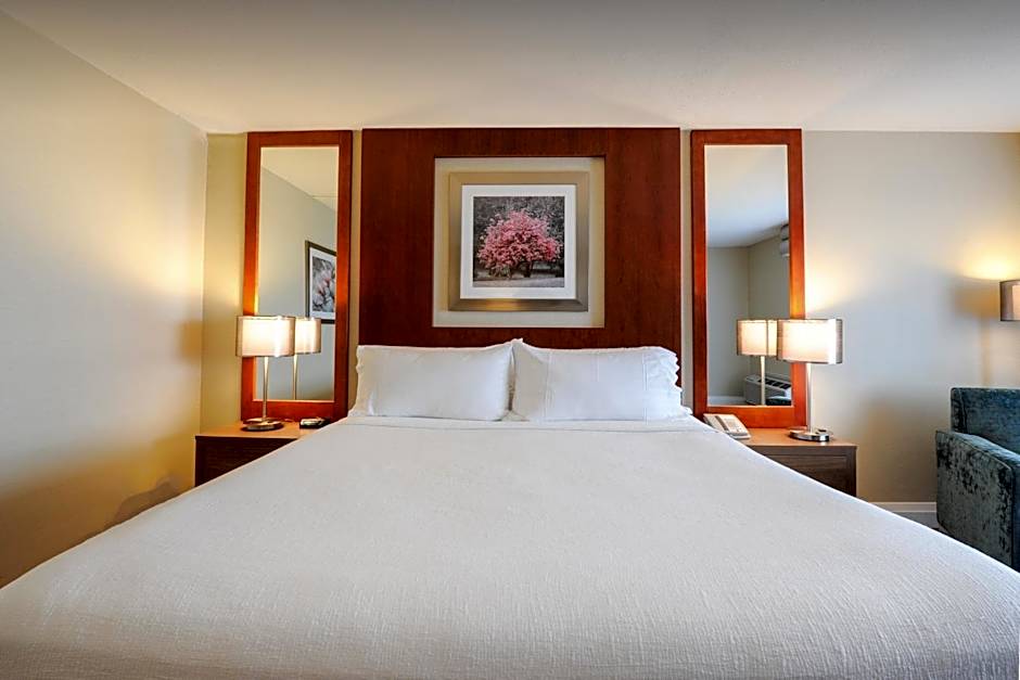 Holiday Inn Niagara Falls-By the Falls By IHG