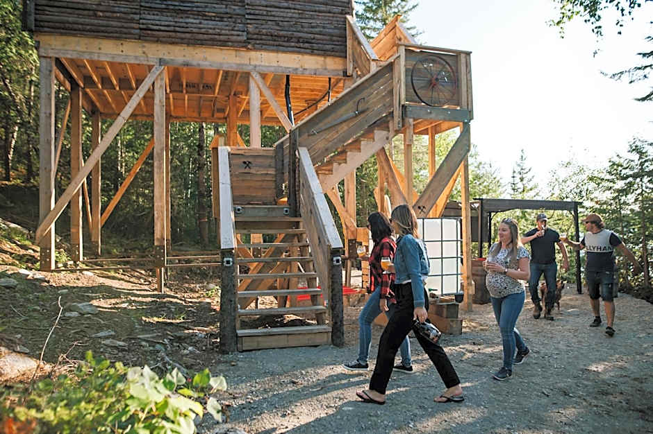 Entre Lemoine et l'arbre