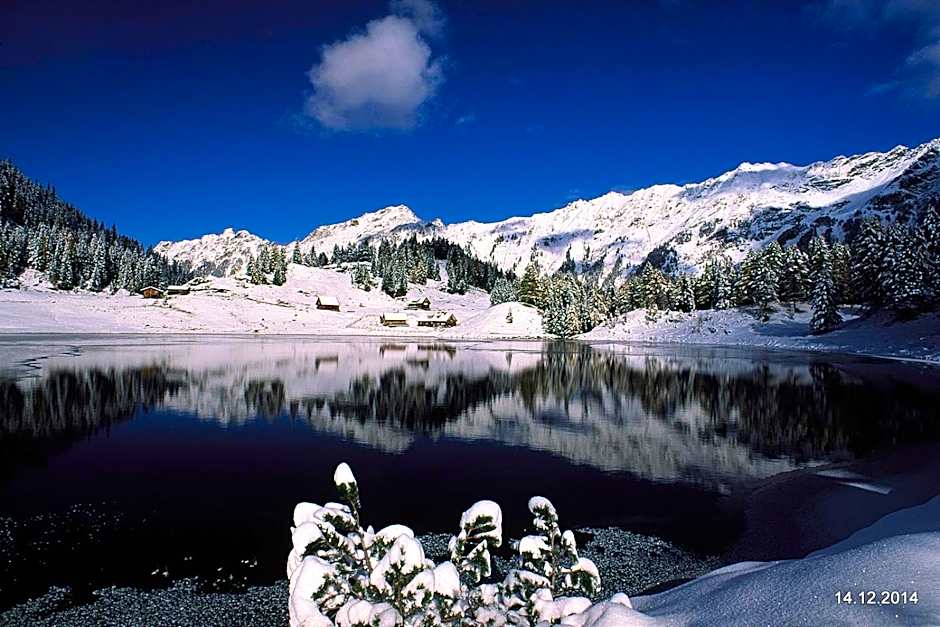 Hotel Vitaler Landauerhof