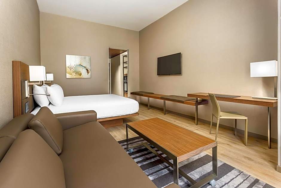 AC Hotel by Marriott San Francisco Airport/Oyster Point Waterfront