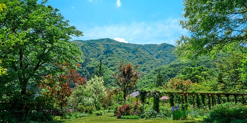 Pension Asanebou
