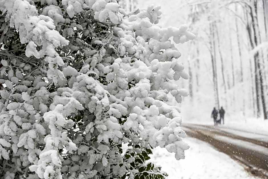 Merici Hotel Sittard