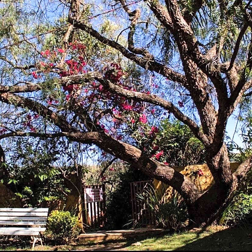 Pousada Vila Serrana