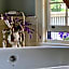 The Pebble Bed and Breakfast