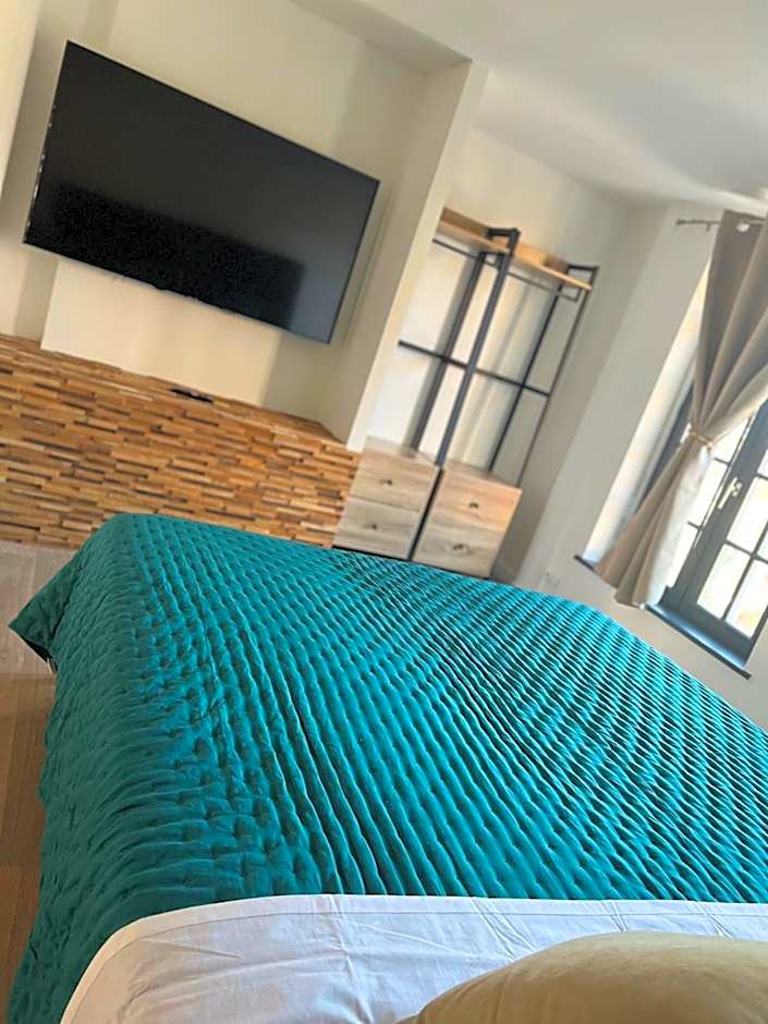 Magnifique Loft 35m2 Jacuzzi RVB NIGHT 1