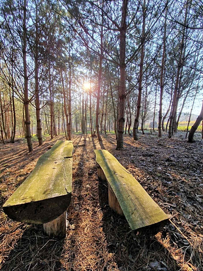 Gospodarstwo Agroturystyczne Borówkowy Bukiet Smaków