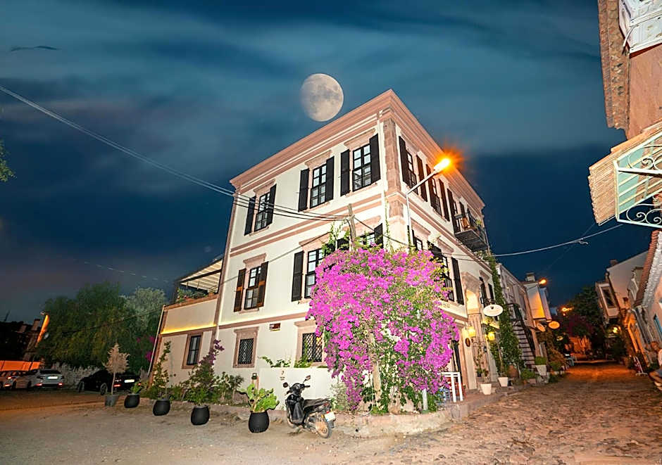 Siyah Lale Cunda 1841